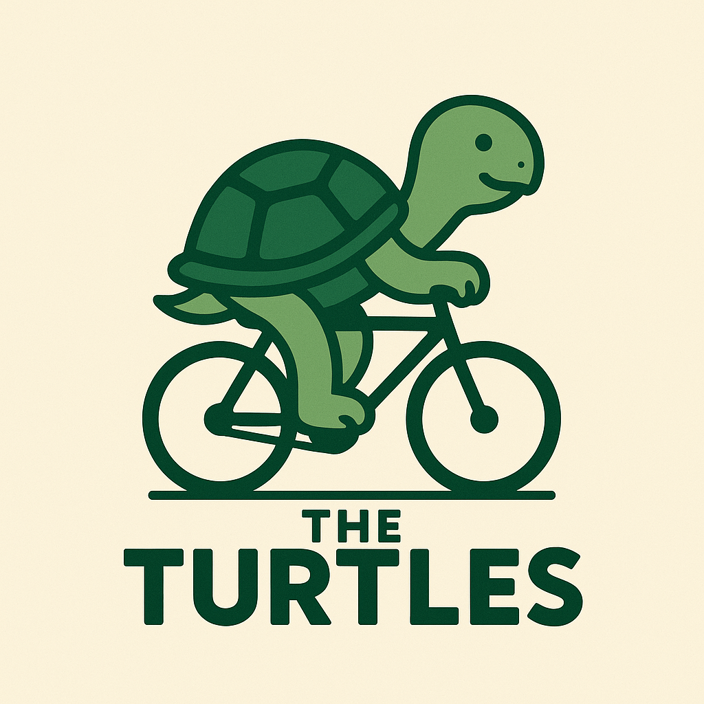 The Turtles logo